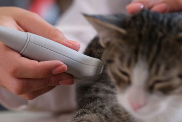 Diagnósticos más rápidos y precisos